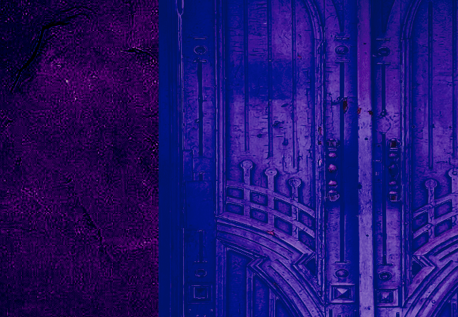 Animated Panel Volunteer Work